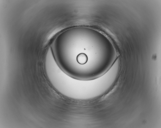 X0000090461453200707272226