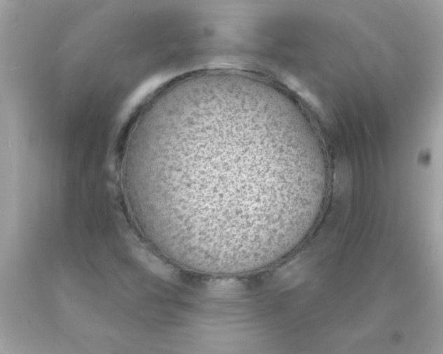 X0000090461454200707272226