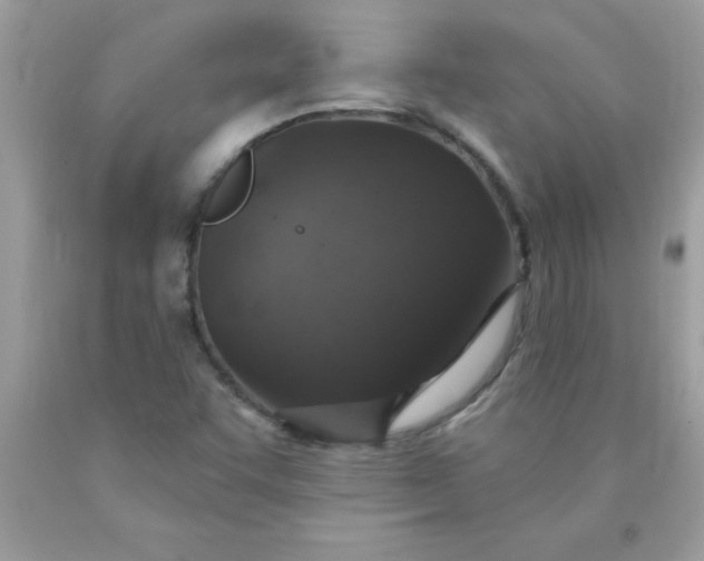 X0000090461455200707272226