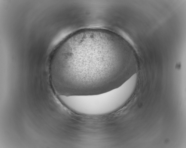X0000090461456200707272226