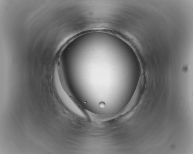 X0000090461457200707272226