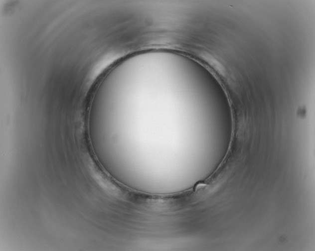 X0000090461458200707272226