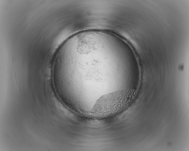 X0000090461459200707272226