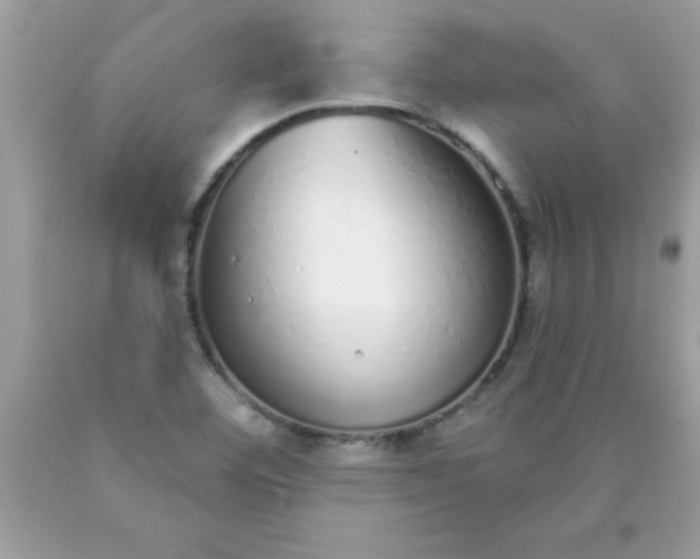 X0000090461460200707272226