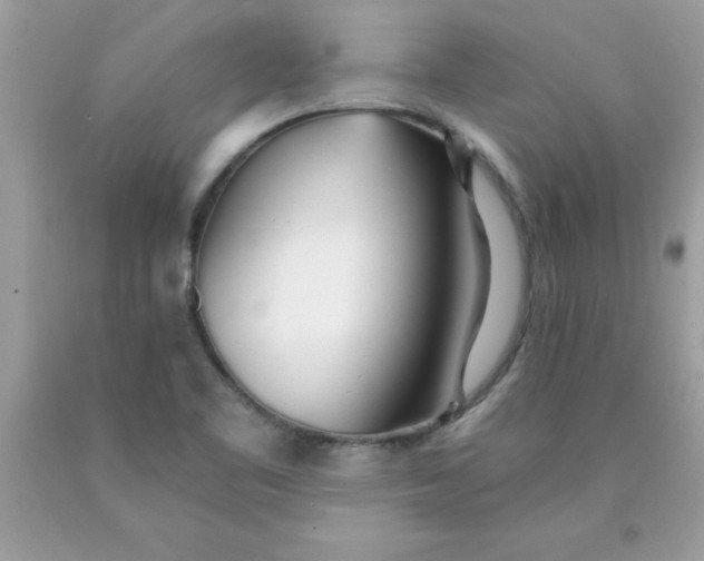 X0000090461461200707272226