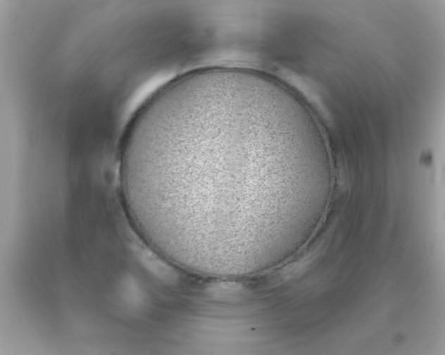 X0000090461462200707272226