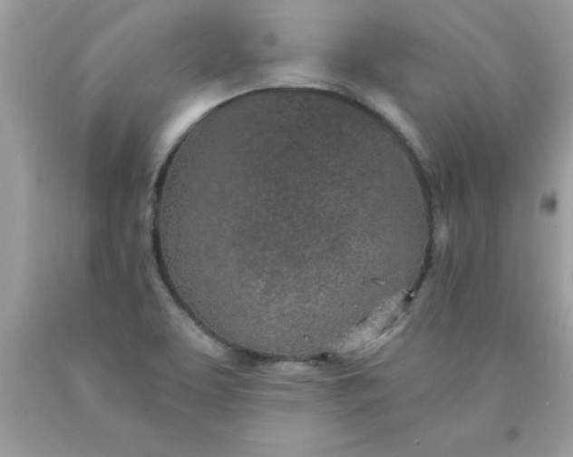 X0000090461463200707272226