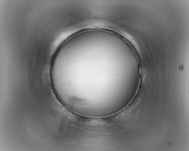 X0000090461464200707272226