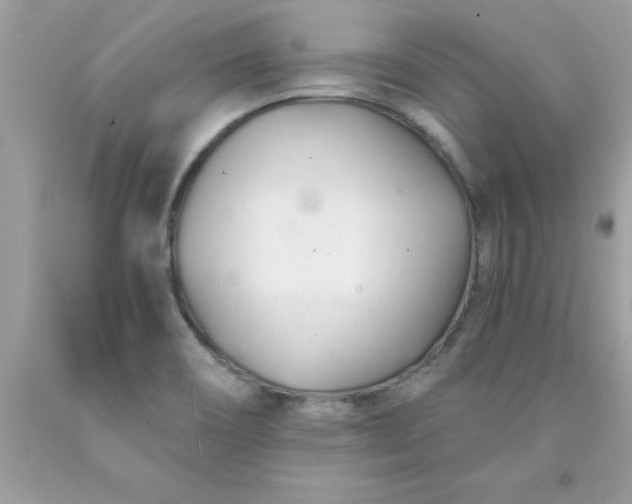 X0000090461466200707272226