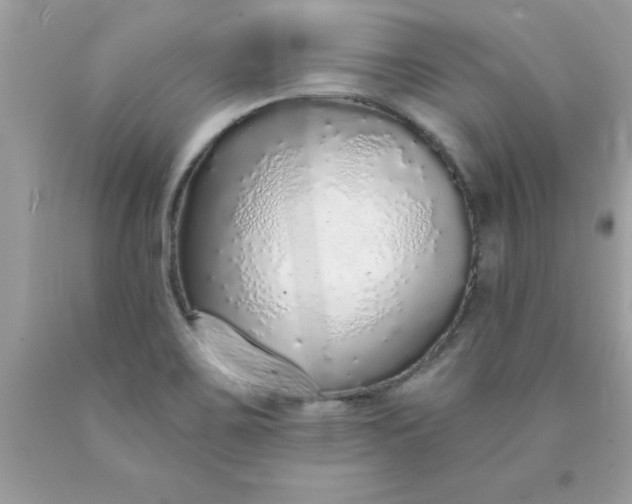 X0000090461467200707272226