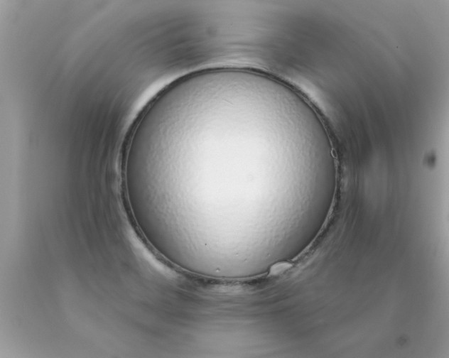 X0000090461468200707272226