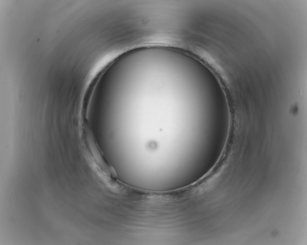 X0000090461469200707272226