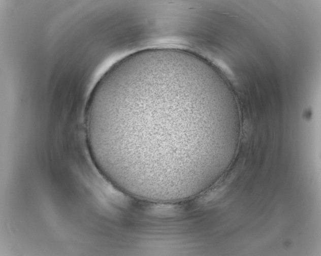 X0000090461470200707272226