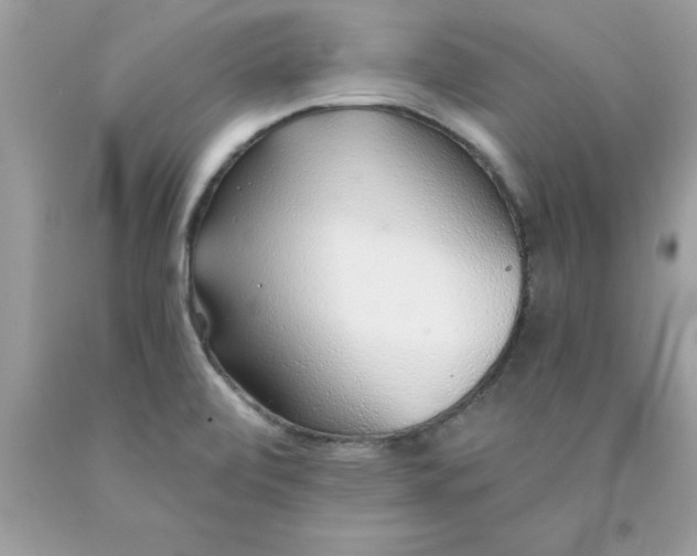 X0000090461472200707272226