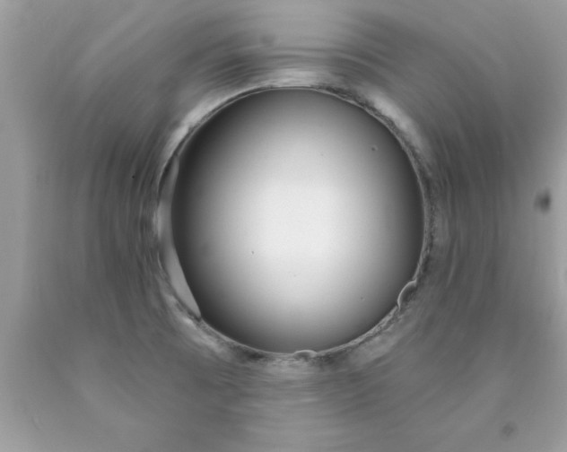 X0000090461473200707272226