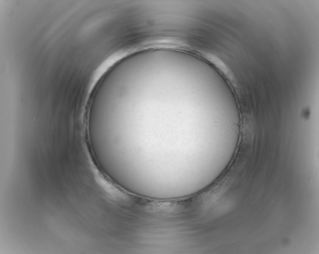 X0000090461474200707272226