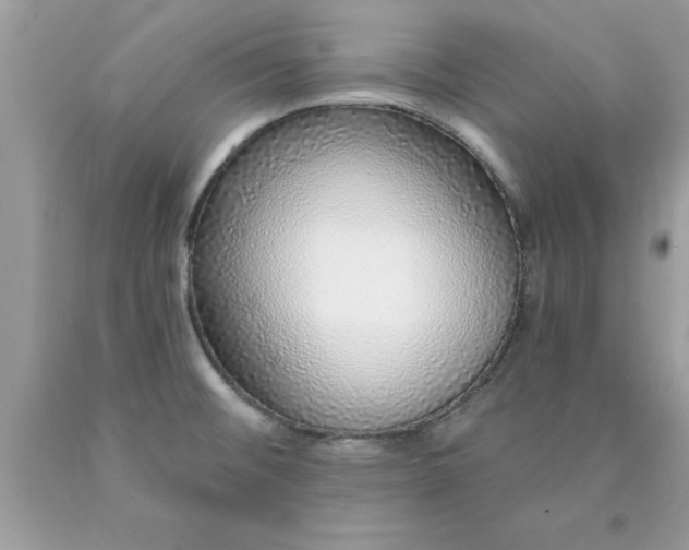 X0000090461476200707272226