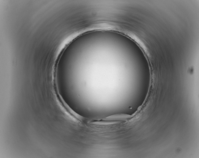 X0000090461477200707272226