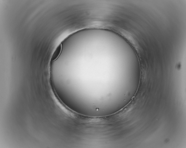 X0000090461479200707272226