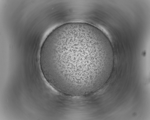 X0000090461480200707272226
