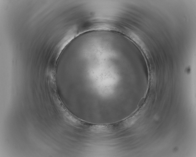 X0000090461481200707272226