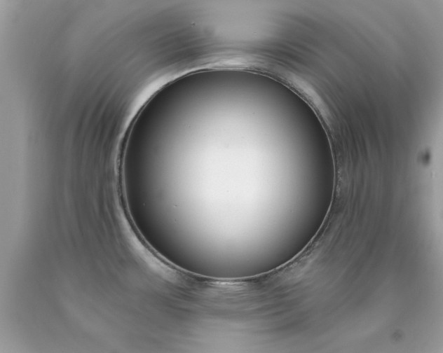 X0000090461483200707272226