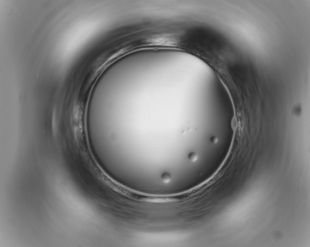 X0000090461487200707272226