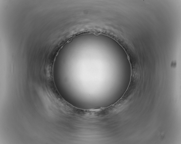 X0000090461490200707272225