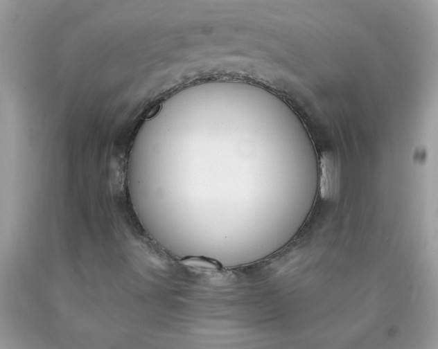X0000090461491200707272225