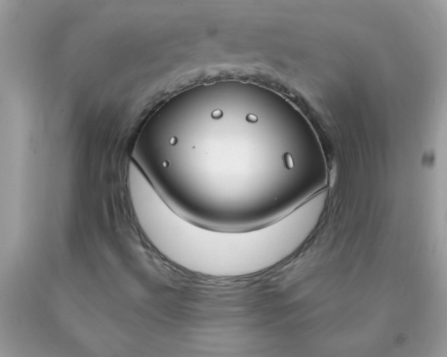 X0000090461492200707272226