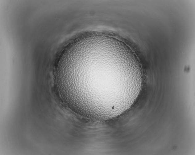 X0000090461493200707272226