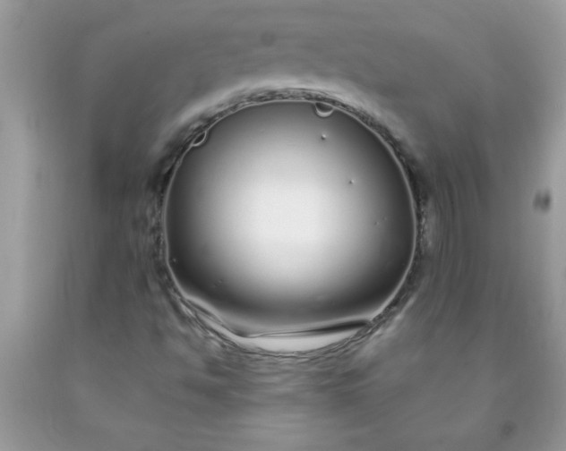 X0000090461494200707272226