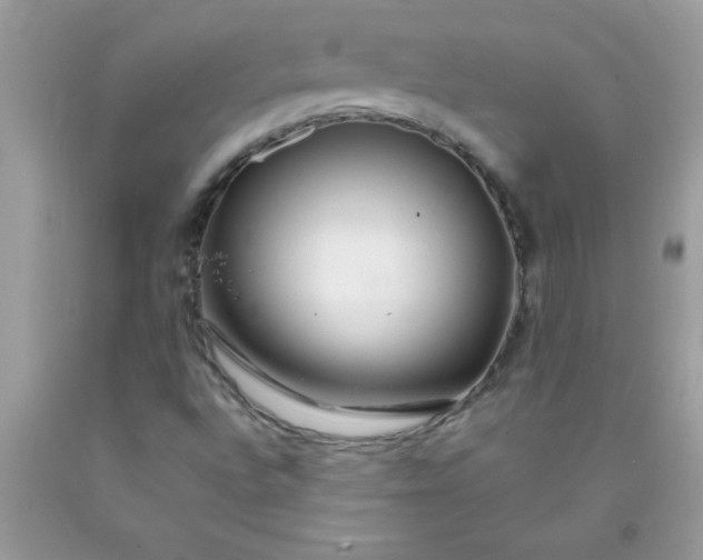 X0000090461496200707272226