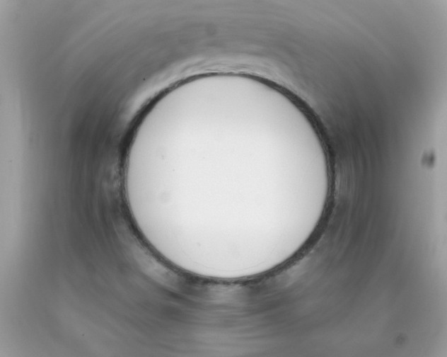 X0000090461498200707272226