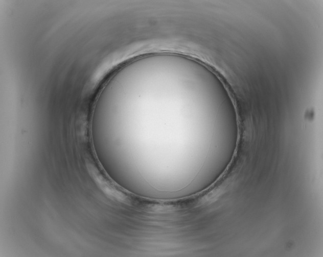 X0000090461499200707272226