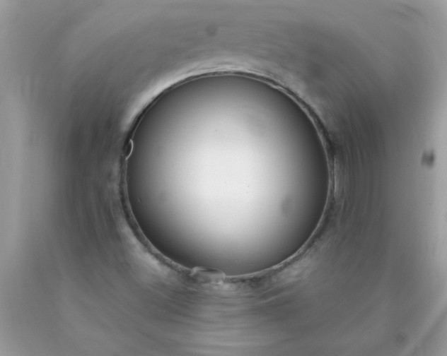 X0000090461500200707272226