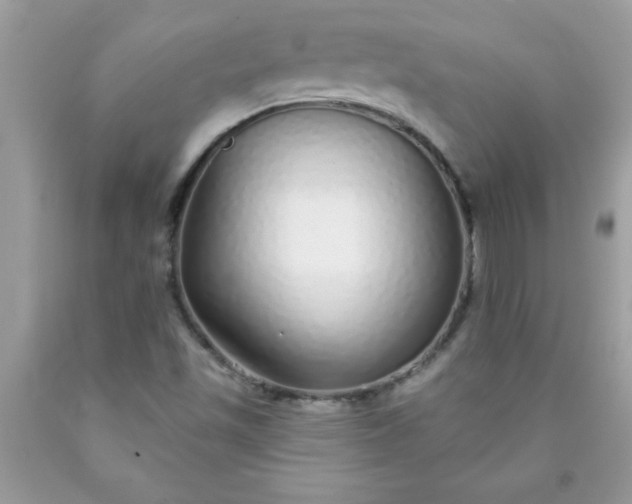 X0000090461501200707272226