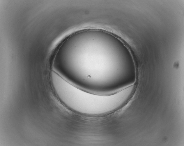 X0000090461502200707272226
