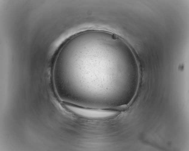 X0000090461503200707272226