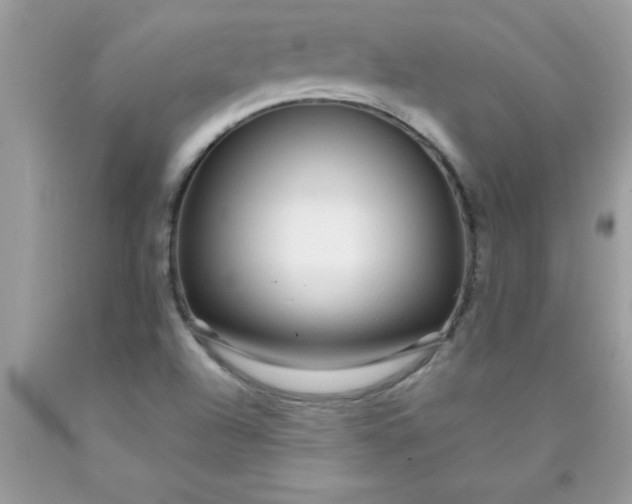 X0000090461504200707272226