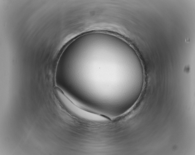 X0000090461505200707272226