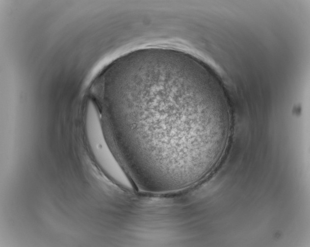 X0000090461506200707272226