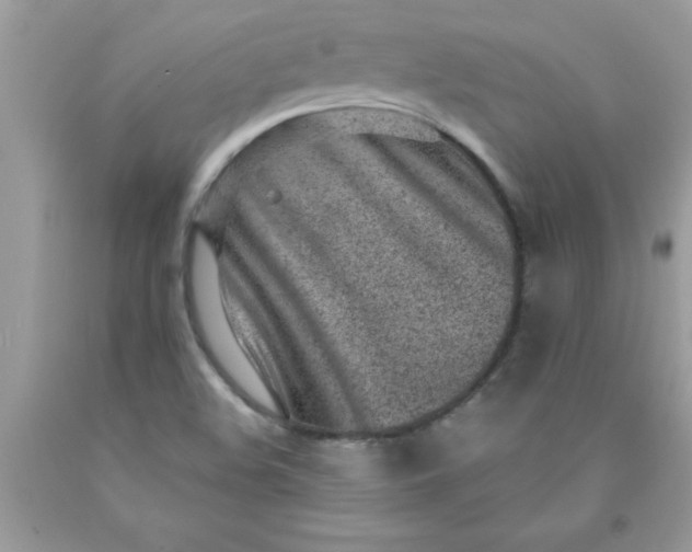 X0000090461508200707272226