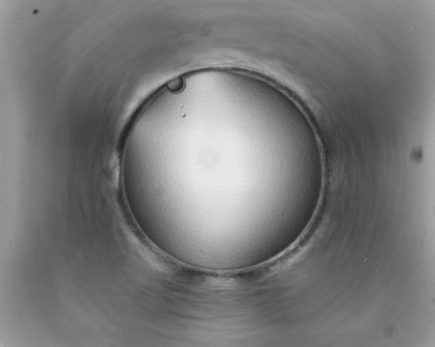 X0000090461509200707272226