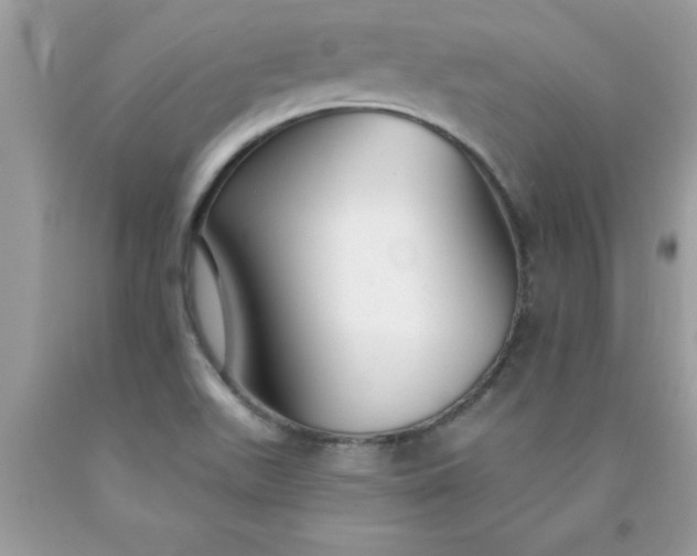 X0000090461511200707272226