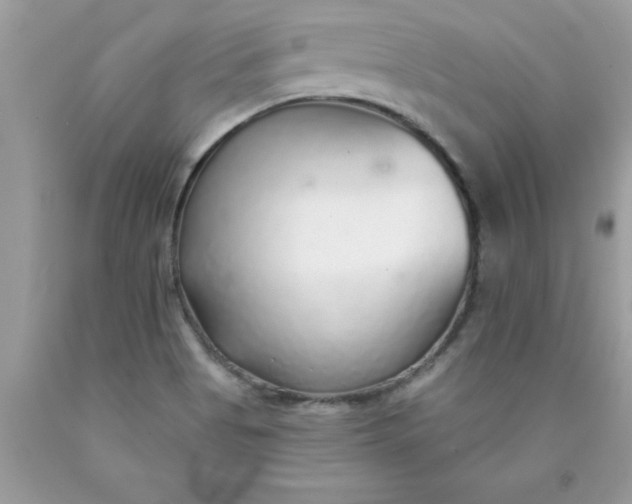 X0000090461513200707272226