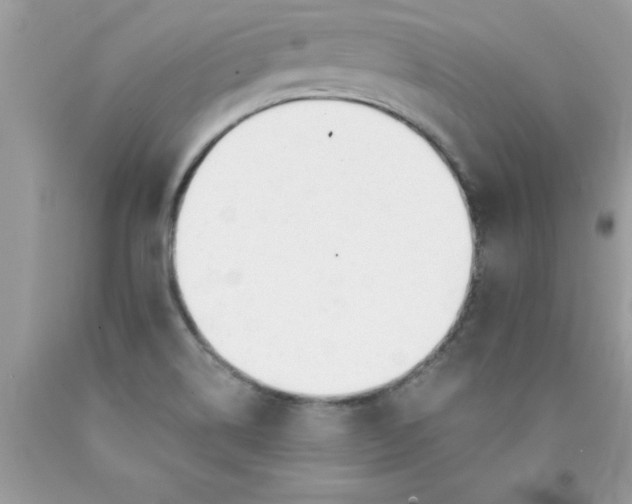 X0000090461514200707272226