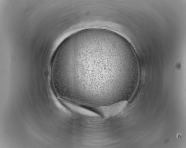 X0000090461515200707272226