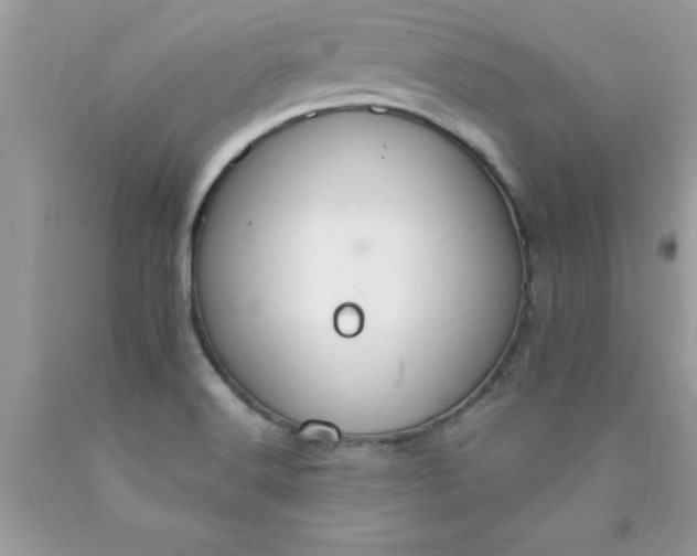 X0000090461516200707272226