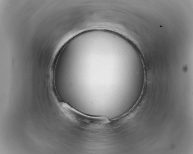 X0000090461517200707272226